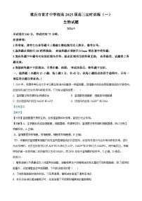 重庆市育才中学2024-2025学年高三上学期开学考试生物试卷（Word版附解析）