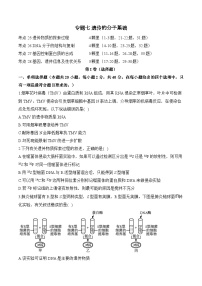 专题七 遗传的分子基础（含解析）-【考点剖析】2025届高考生物一轮复习考点剖析