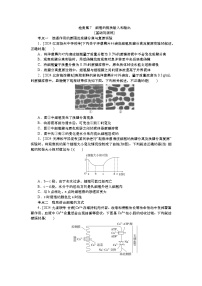 2025届高中生物一轮分层复习检测案7　细胞的物质输入和输出（含解析）