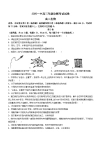 甘肃省兰州第一中学2024-2025学年高三上学期开学考试生物试卷（Word版附答案）