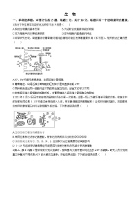 江苏省海安高级中学2024-2025学年高三上学期8月月考生物试题