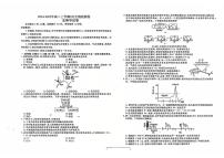 云南省红河州2024-2025学年高二上学期9月月考生物试题