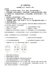 河北省保定市部分高中2024-2025学年高二上学期开学考试生物试题（Word版附答案）