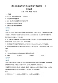 重庆市乌江新高考协作体2024-2025学年高三上学期9月月考生物试题（解析版）