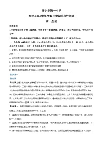 山东省济宁市第一中学2023-2024学年高一下学期4月月考生物试题（Word版附解析）