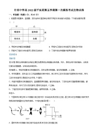 四川省德阳市什邡中学2024-2025学年高三上学期第一次模拟考试生物试题（Word版附解析）