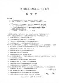 九师洛阳强基联盟2023-2024学年高二上学期10月联考生物试卷及答案