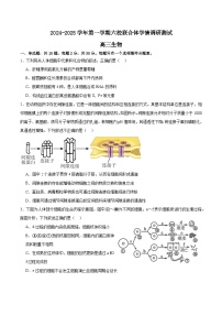 江苏省南京市六校联合体2024-2025学年高三上学期8月学情调研测试生物试卷（Word版附解析）