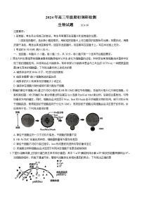 山东省青岛市2024-2025学年高三上学期期初考试生物试题word版（附参考答案）