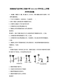 [生物]河南省驻马店市树人高级中学2024-2025学年高二上学期开学考试试题(解析版)