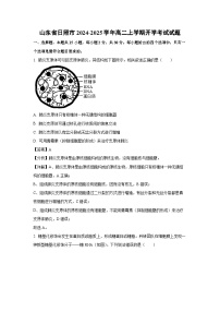 [生物]山东省日照市2024-2025学年高二上学期开学考试试题(解析版)