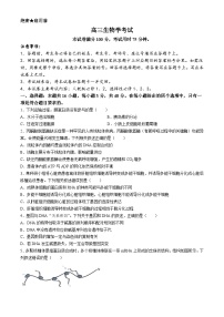 甘肃、青海、宁夏2025届高三上学期9月开学大联考试题 生物 Word版含解析