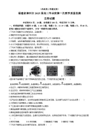 福建省漳州市2025届高中毕业版第一次质量检测（漳州一检）生物试题