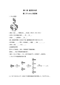 高中生物微专题-必修二知识填空-第3章 第3节 DNA的复制-2025年高考生物一轮复习知识填空练习