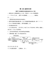 高中生物微专题-必修二知识填空-第3章 第4节 基因通常是有遗传效应的DNA片段-2025年高考生物一轮复习知识填空练习