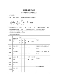 高中生物微专题-必修二知识填空-第4章 第2节 基因表达与性状的关系-2025年高考生物一轮复习知识填空练习