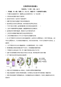 江苏省盐城市射阳县射阳中学2024-2025学年高三上学期9月月考生物试题（原卷版+解析版）