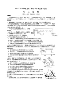 山东省临沂市2024_2025学年高二上学期期初学业水平监测生物试题