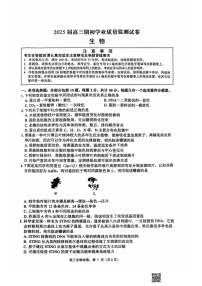 江苏省南通市海安市2024-2025学年高三上学期开学考试 生物    含答案