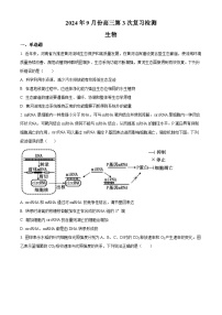 湖南衡阳名校2024—2025学年高三上学期9月联考生物试题（原卷版+解析版）