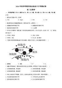 广西壮族自治区百色市田东县实验高级中学2024-2025学年高二上学期开学检测生物试题（原卷版+解析版）