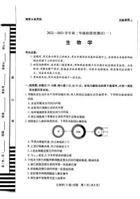 2022-2023学年（天一大联考）河南高二上学期第一次月考阶段性测试（一）生物试卷及答案