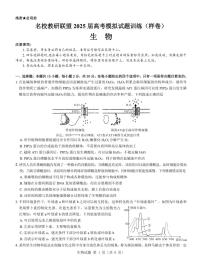 生物-名校教研联盟2025届高考模拟试题训练卷