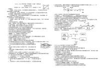 云南省玉溪市2024-2025学年高二上学期第一次月考生物试题