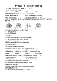 河南省许昌市禹州市高级中学2024-2025学年高一上学期9月月考生物试题