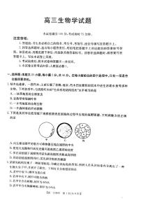 山西省2024-2025学年高三上学期9月联考生物试题+答案