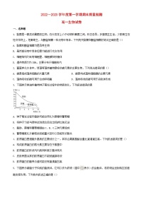 湖北省武汉市江岸区2022_2023学年高一生物上学期期末质量检测试题