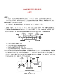 重庆市2023_2024学年高三生物上学期第四次月考试题