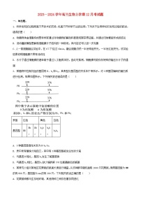 河南省南阳市新野县2023_2024学年高三生物上学期12月月考试题含解析