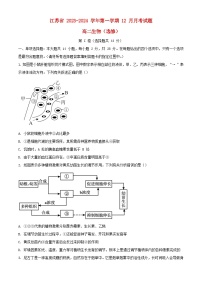 江苏省2023_2024学年高二生物上学期12月月考试题含解析