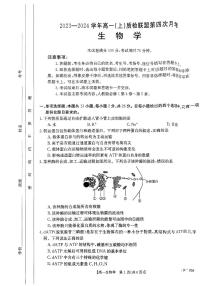 河北省邢台市2023_2024学年高一生物上学期12月月考试题pdf