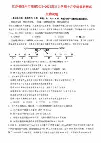 江苏省扬州市高邮2023_2024高三生物上学期10月学情调研测试试题pdf