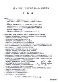 陕西省榆林市五校联考2023_2024学年高二生物上学期12月月考试题pdf