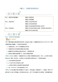 专题11 生物的变异和进化（7大题型）-2025年高考生物一轮复习题型冲关讲义（新高考通用）