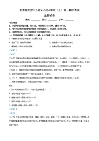 北京师范大学附属中学2023-2024学年高一上学期期中考试生物试卷（Word版附解析）