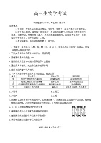 陕西省渭南市华州区咸林中学2024-2025学年高三上学期第二次月考生物试题