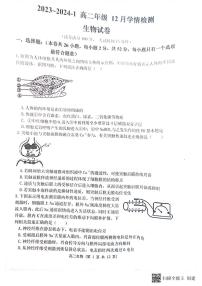 山西省大同市2023_2024学年高二生物上学期12月检测试题pdf