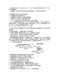 河南省2023_2024学年高一生物上学期12月月考试题含解析