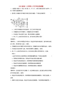 四川省眉山市仁寿县2023_2024学年高二生物上学期12月月考含解析