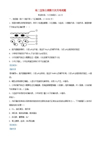 四川省南充市2023_2024学年高二生物上学期12月月考题含解析