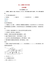 四川省宜宾市兴文县2023_2024学年高二生物上学期12月月考试题含解析