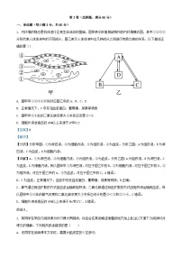 天津市2023_2024学年高二生物上学期期中试题含解析 (1)