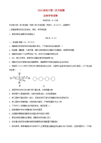 天津市2023_2024学年高三生物上学期12月月考试题无答案