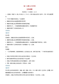 四川省南充市2023_2024学年高一生物上学期12月月考试题含解析