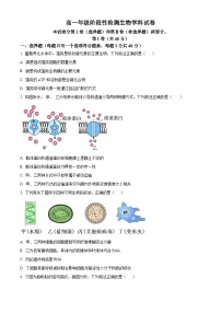 天津市九十六中学2024-2025学年高一上学期第二次月考生物试卷