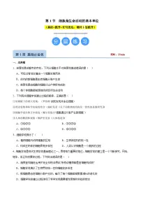 人教版 (2019)必修1《分子与细胞》第1节 细胞是生命活动的基本单位优秀巩固练习